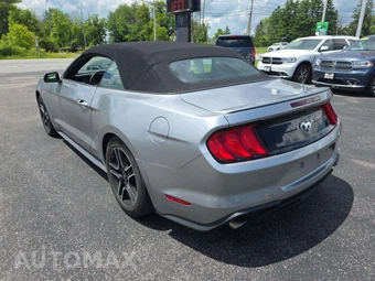 2021 Ford Mustang EcoBoost Premium Convertible - miniatura 2