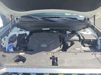 2021 Hyundai Palisade Calligraphy - miniatura 16