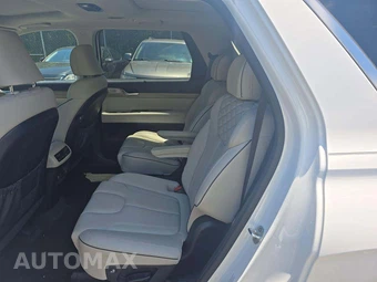 2021 Hyundai Palisade Limited - miniatura 13