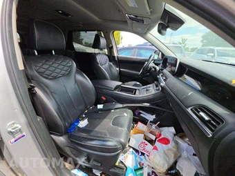 2021 Hyundai Palisade Limited - miniatura 19
