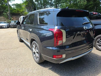 2021 Hyundai Palisade Limited - miniatura 2