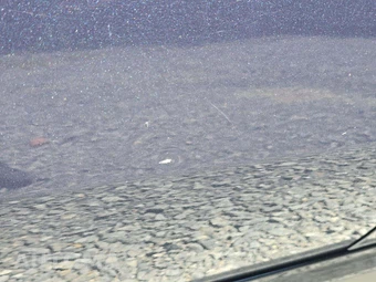 2021 Kia Sportage S - miniatura 22