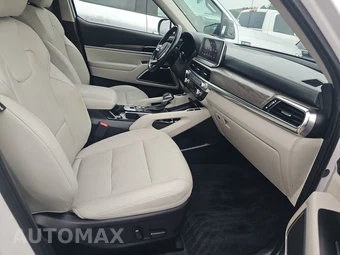 2021 Kia Telluride EX - miniatura 8