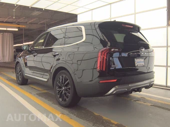 2021 Kia Telluride SX – miniatura 6
