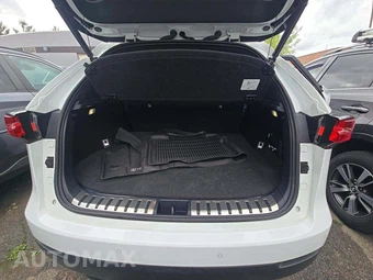 2021 Lexus NX 300 F SPORT – miniatura 14