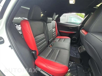 2021 Lexus NX 300 F SPORT – miniatura 16