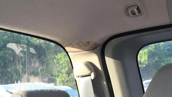 2021 Nissan Frontier S Extended Cab Long Bed - miniatura 27