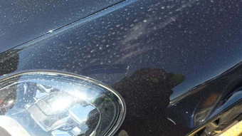 2021 Porsche Panamera 4S E-Hybrid – miniatura 26
