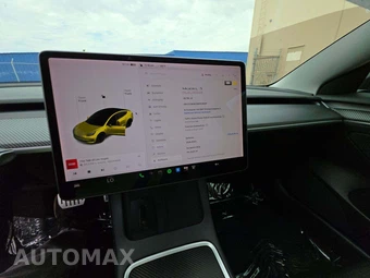 2021 Tesla Model 3 Performance - miniatura 7