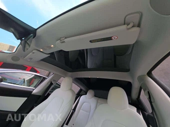 2021 Tesla Model 3 Performance - miniatura 11