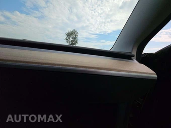 2021 Tesla Model 3 Standard Range Plus - miniatura 19