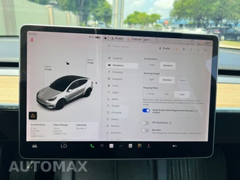 2021 Tesla Model Y Long Range - miniatura 29