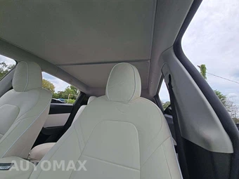 2021 Tesla Model Y Standard Range - miniatura 8