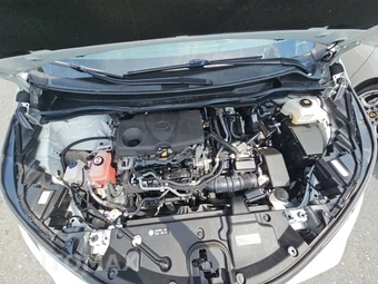 2021 Toyota Sienna XLE 7-Passenger 120.5" WB - miniatura 16