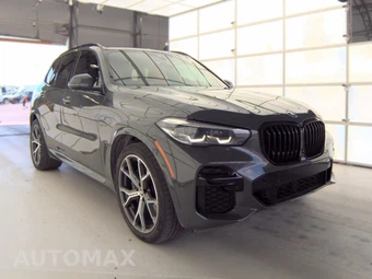 2022 BMW X5 Sports Activity Vehicle xDrive40i M SPORT LINE - miniatura 3