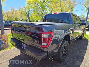 2022 Ford F-150 Hybrid Platinum Crew Cab Short Bed - miniatura 3