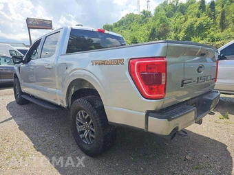 2022 Ford F-150 Tremor Crew Cab Short Bed - miniatura 2