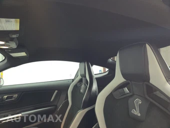 2022 Ford Mustang Shelby GT500 Coupe - miniatura 17