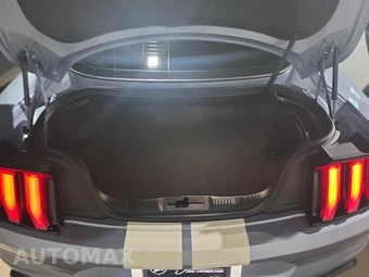 2022 Ford Mustang Shelby GT500 Coupe - miniatura 19
