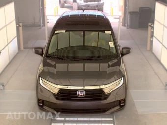 2022 Honda Odyssey Elite 118.1" WB - miniatura 2