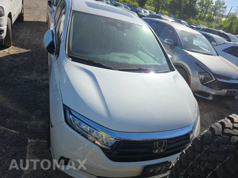 2022 Honda Odyssey Elite 118.1" WB - miniatura 2