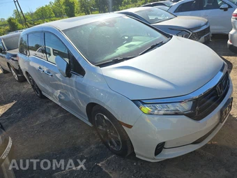 2022 Honda Odyssey Elite 118.1" WB - miniatura 3
