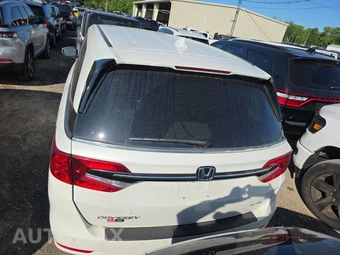 2022 Honda Odyssey Elite 118.1" WB - miniatura 5