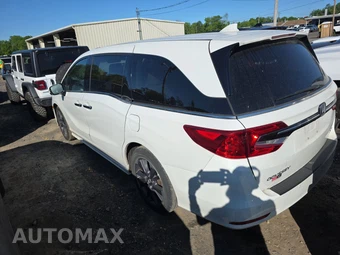 2022 Honda Odyssey Elite 118.1" WB - miniatura 6