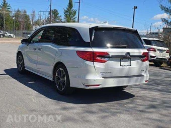 2022 Honda Odyssey Elite 118.1" WB - miniatura 2