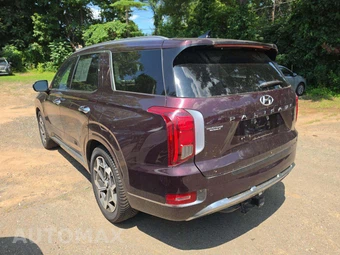 2022 Hyundai Palisade Calligraphy - miniatura 2