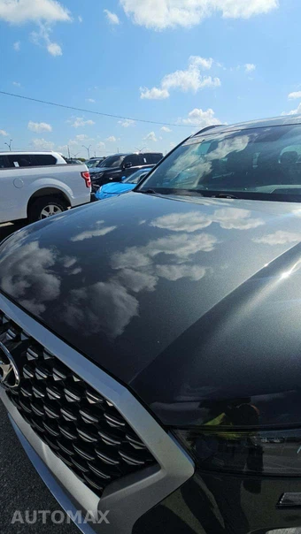2022 Hyundai Palisade Calligraphy - miniatura 30