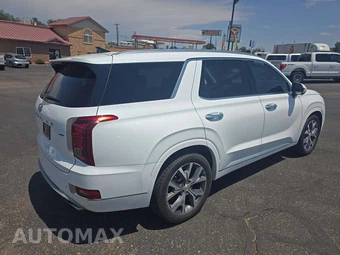 2022 Hyundai Palisade Limited - miniatura 3