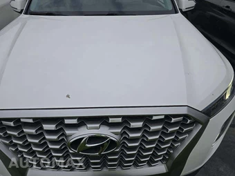 2022 Hyundai Palisade SEL - miniatura 23