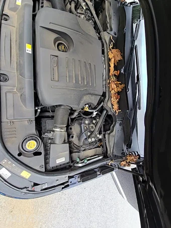 2022 Land Rover Range Rover Westminster - miniatura 26