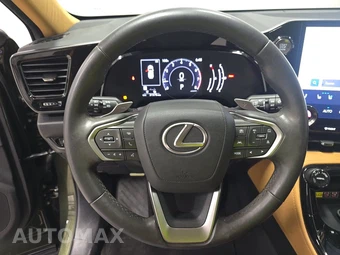 2022 Lexus NX 350 Premium - miniatura 10
