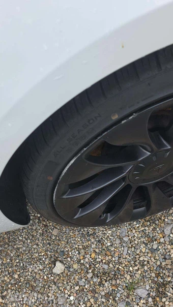 2022 Tesla Model 3 Performance - miniatura 32
