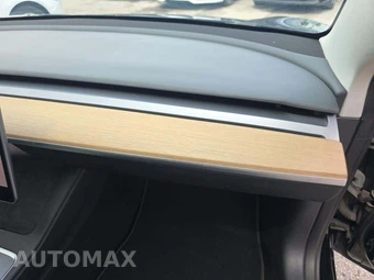 2022 Tesla Model 3 Standard Range – miniatura 19