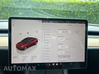 2022 Tesla Model 3 Standard Range – miniatura 28