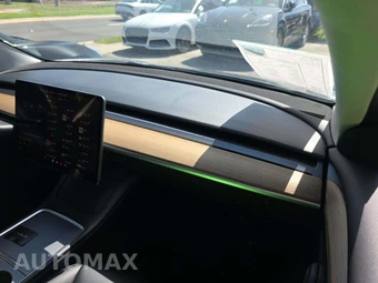 2022 Tesla Model 3 Standard Range – miniatura 19