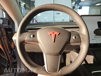 2022 Tesla Model 3 Standard Range - miniatura 10