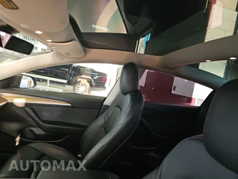 2022 Tesla Model 3 Standard Range - miniatura 17