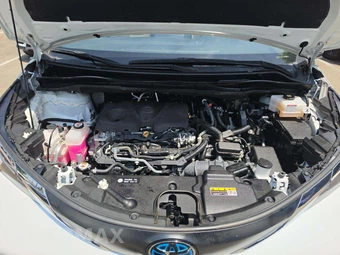 2022 Toyota Sienna XLE 8-Passenger 120.5" WB - miniatura 28
