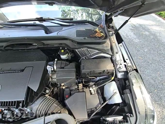 2023 Acura MDX w/Technology Pkg - miniatura 24