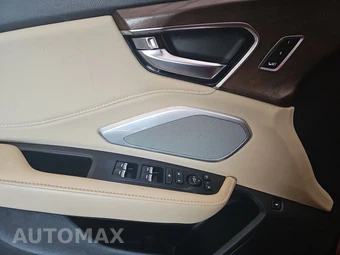 2023 Acura RDX w/Advance Pkg - miniatura 19