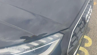 2023 Audi A4 Sedan S line Prestige - miniatura 19