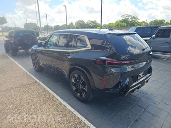 2023 BMW XM – miniatura 6