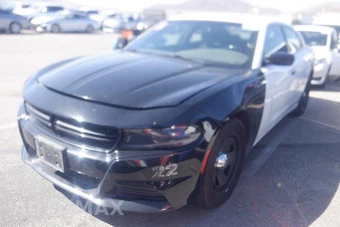 2023 Dodge Charger Police - car from the USA, Manheim Buy-Now listing at AUTOMAX