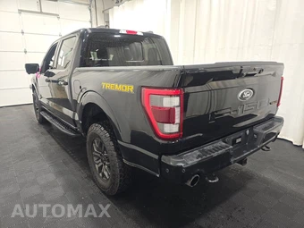 2023 Ford F-150 Tremor Crew Cab Short Bed - miniatura 6