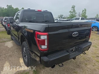 2023 Ford F-150 Tremor Crew Cab Short Bed - miniatura 6