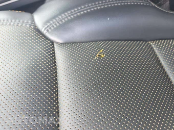 2023 Ford F-150 Tremor Crew Cab Short Bed - miniatura 18